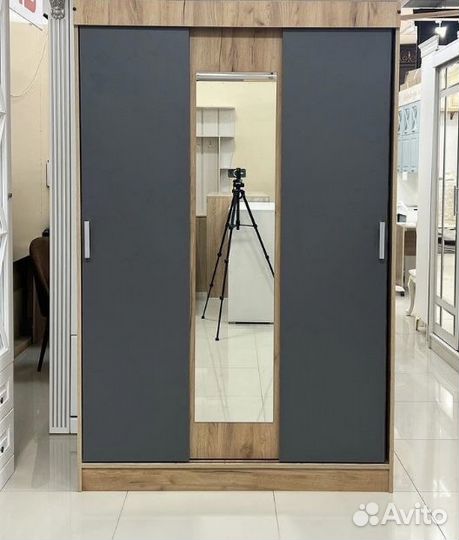 Шкаф-купе Бася