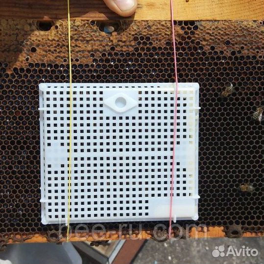 Клеточка для подсадки матки 150х130 мм (пластик, З