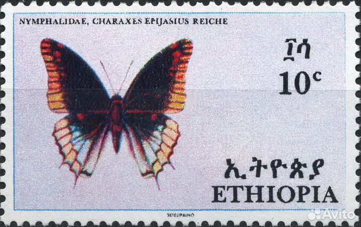 Бабочки Эфиопии. Эфиопия 1967 г