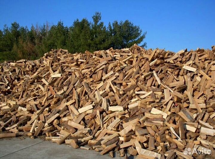 Дрова с Приморска