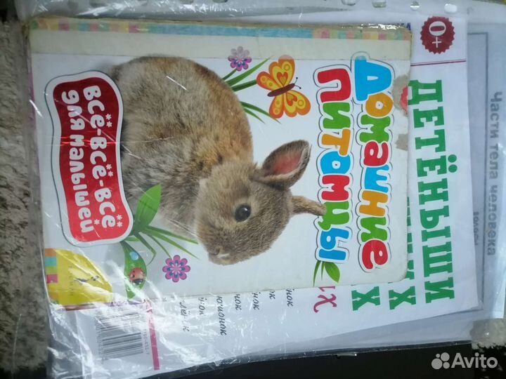 Демонстрационный материал для дс