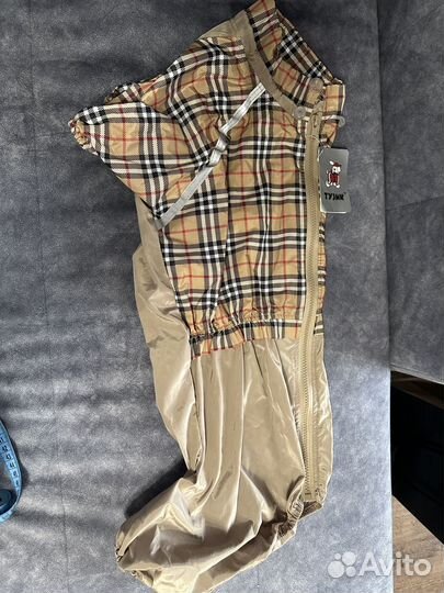 Одежда для средних собак