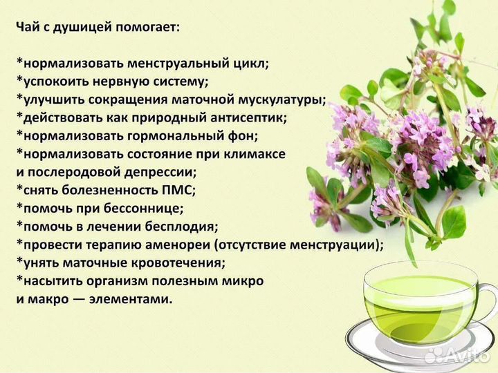 Лаванда, душица, иссоп