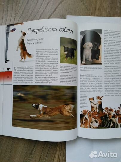 Книги детские