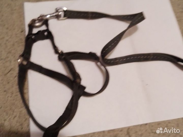 Поводок рулетка flexi 5м со шлейкой