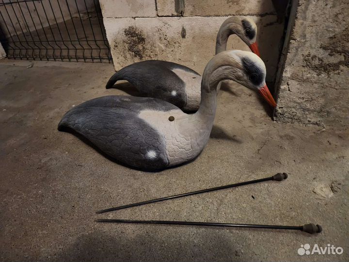 Чучело цапли