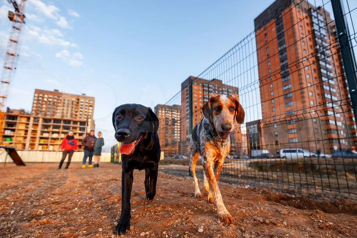 1-к. квартира, 43,7 м², 1/18 эт.