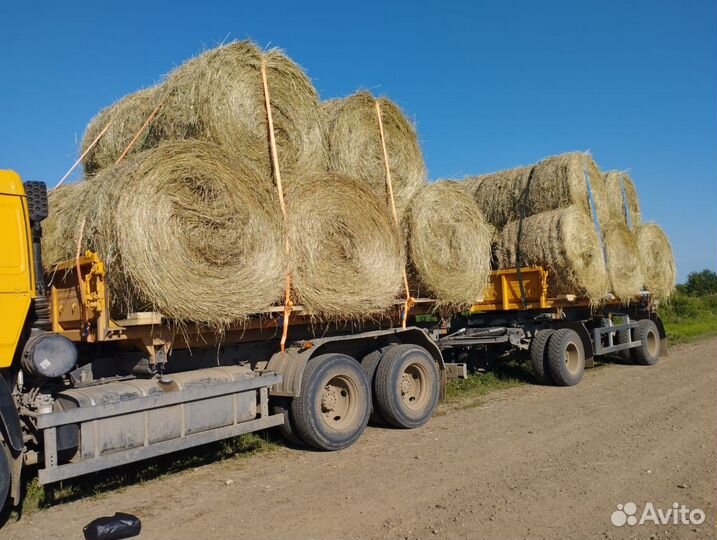 Сено в рулонах