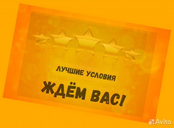 Продавец-кассир Гарантии выплат Бесплатная форма