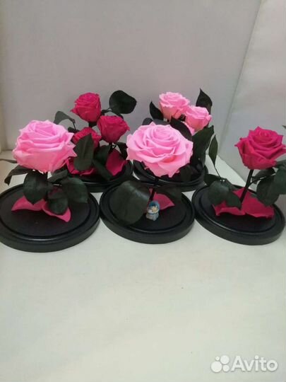 Роза в колбе