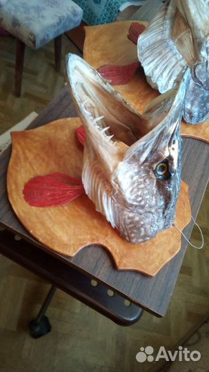 Чучело щуки