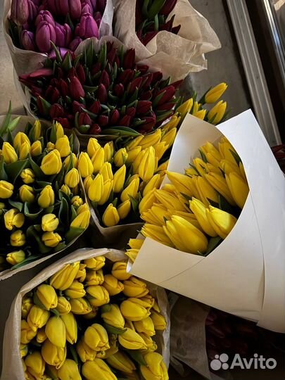 Тюльпаны на 8 марта