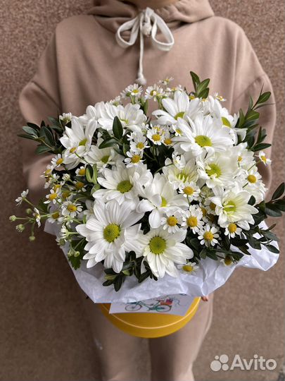 Цветы ромашки