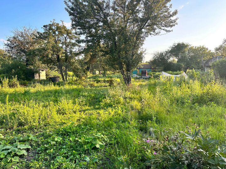 Дача 10 м² на участке 7 сот.