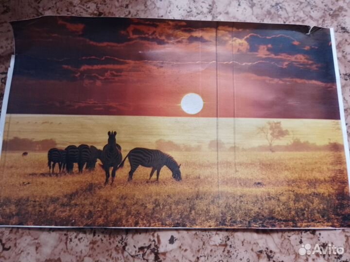 Samsung clp 320 лазерный цветной принтер