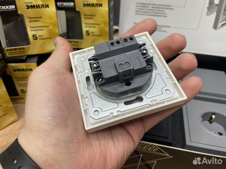 Розетка Эмили,Тренд