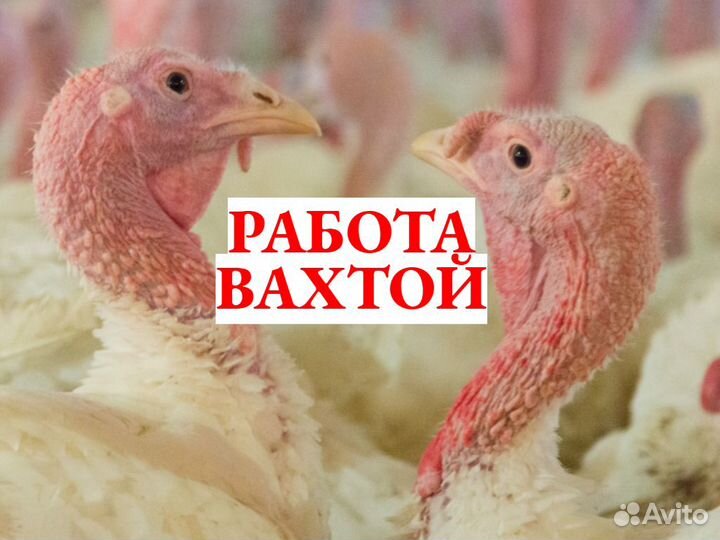 Разнорабочие с проживанием в Пензенской обл