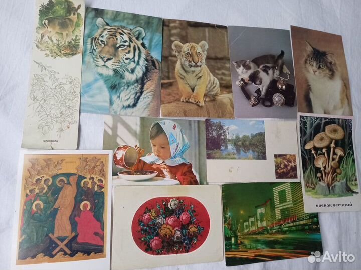 Фотографии СССР