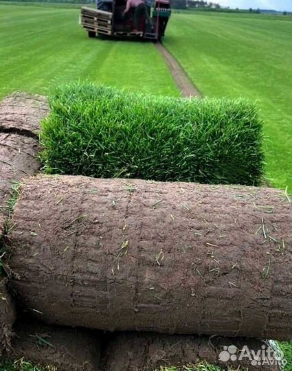 Рулонный газон Укладка Автополив