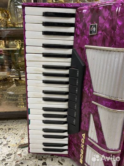 Аккордеон Восход