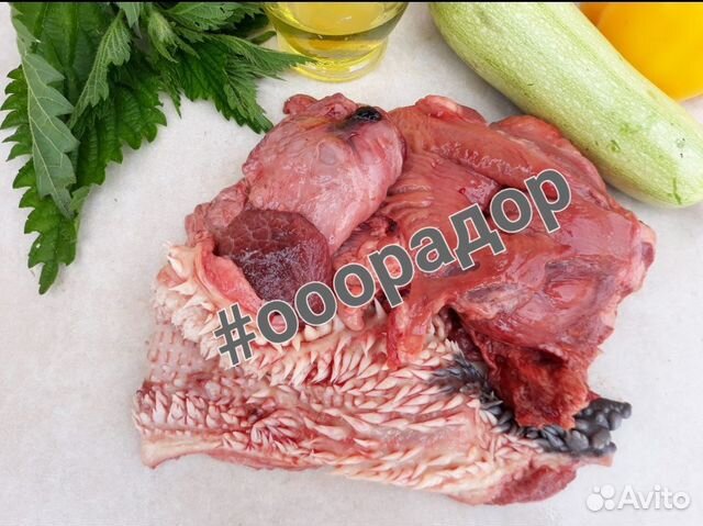 Мясо для собак