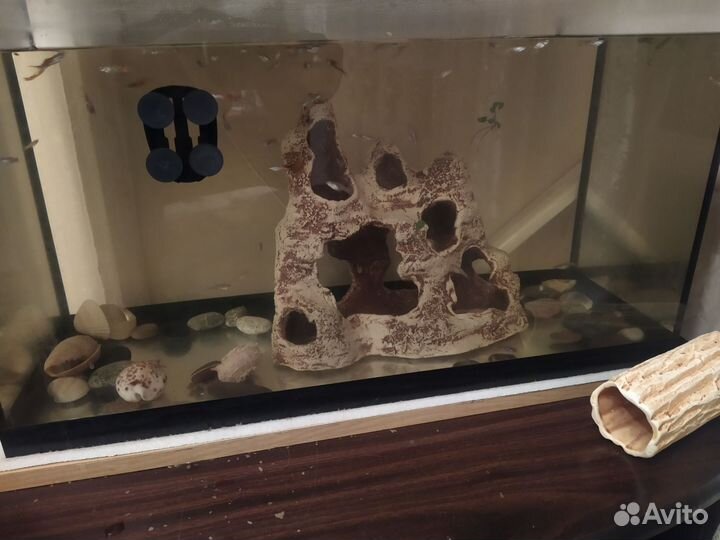 Аквариум с рыбками