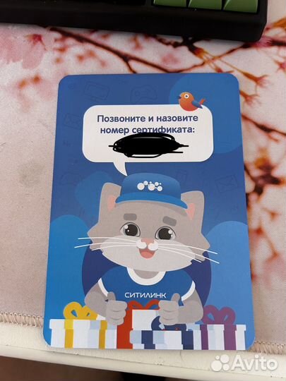 Сертификат ситилинк
