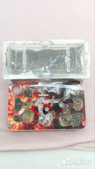 Муравьиная ферма