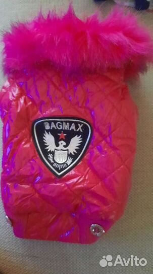 Одежда для собак мелких пород