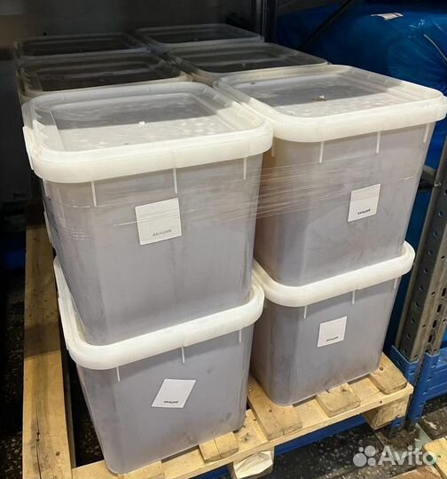 Мед с Алтая опт