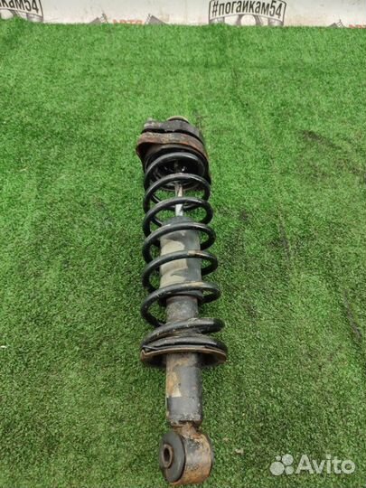 Амортизатор / стойка задний левый Mitsubishi