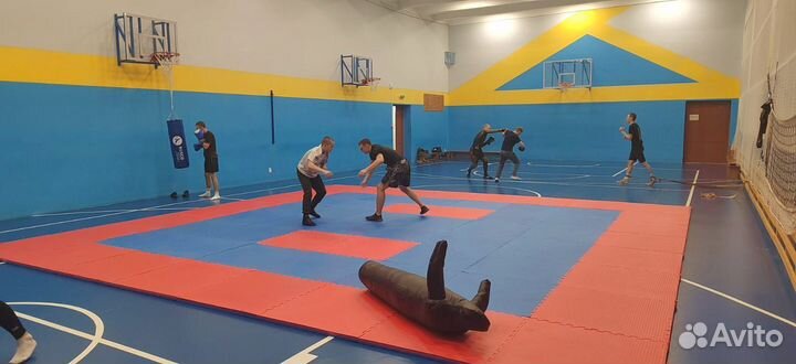 Будо маты, ролл маты, стеновые протекторы