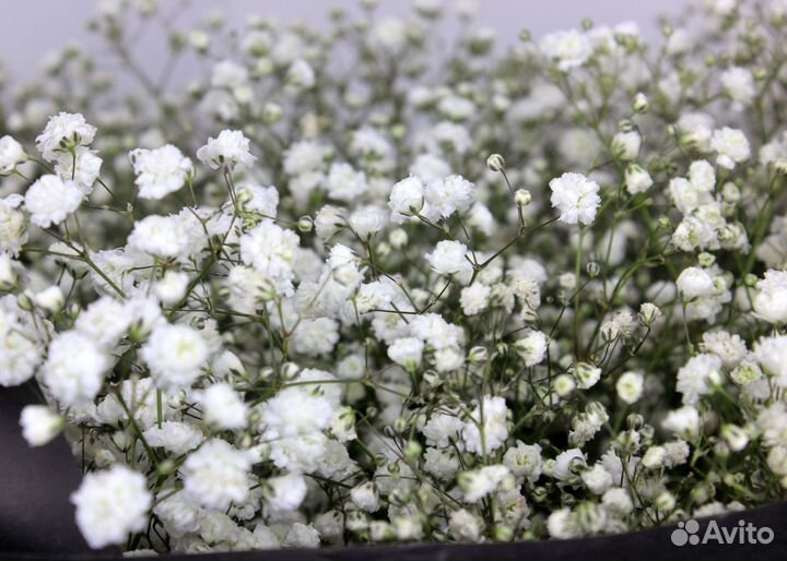 Доствка цветов 24/7