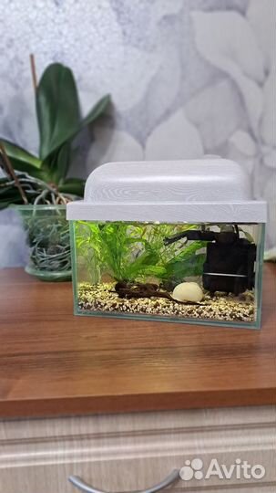 Аквариум 5л