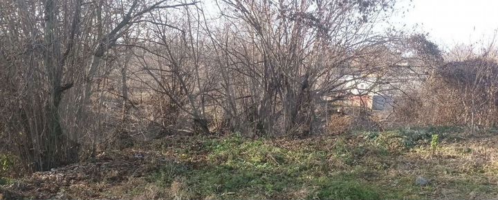 Участок 6 сот. (ИЖС)