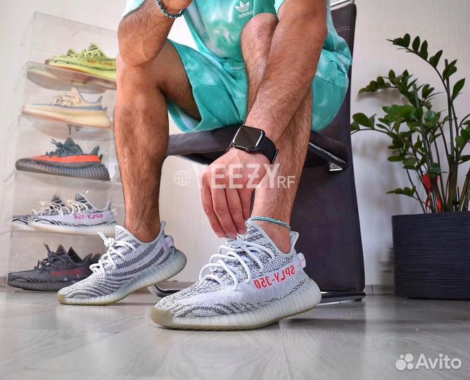 Кроссовки Adidas Yeezy Boost 350 V2 Blue Tint