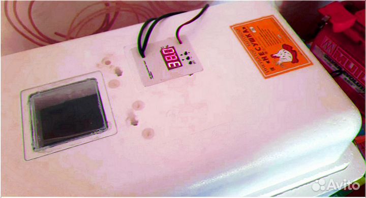 Инкубатор несушка