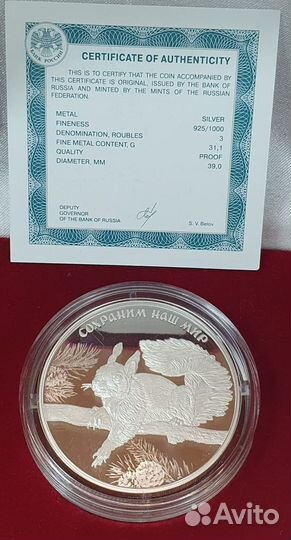 Белка обыкновенная