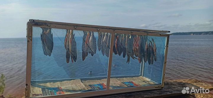 Сушилка для рыбы