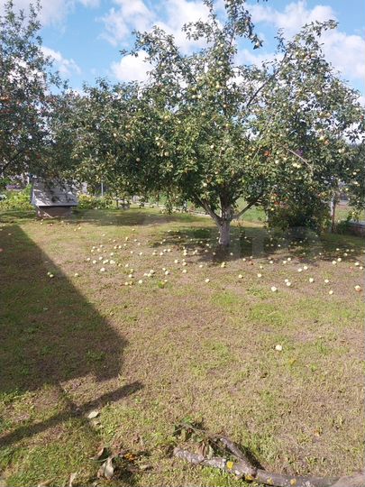 Дом 37,5 м² на участке 5 сот.