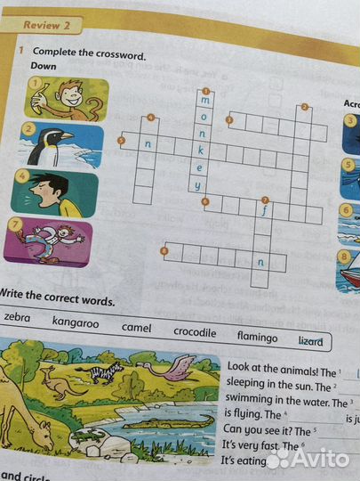 Английский язык Family and Friends 3