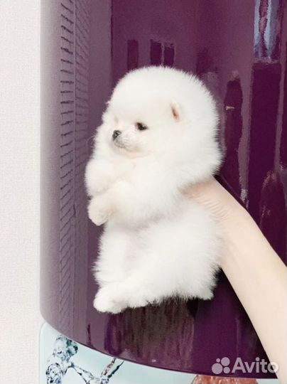 Офигительный мальчишка