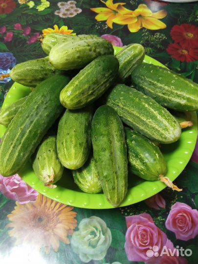 Малина домашняя, огурцы