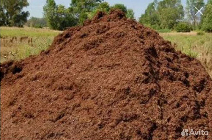 Перегной домашний