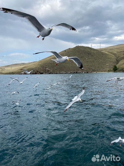 Туры на Байкал