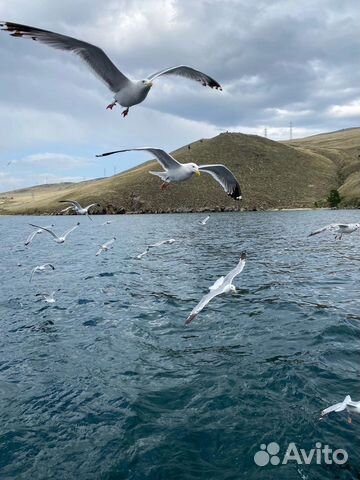 Туры на Байкал