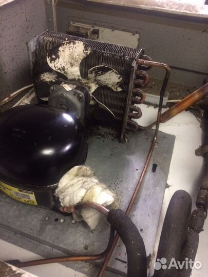 Ремонт Холодильного и Морозильного Оборудования