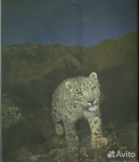 Волкодав. Звездный меч М.Семёнова Книги Дайджест