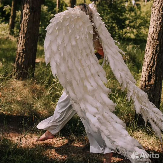 Крылья для фотосессии