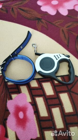 Ошейник с поводком